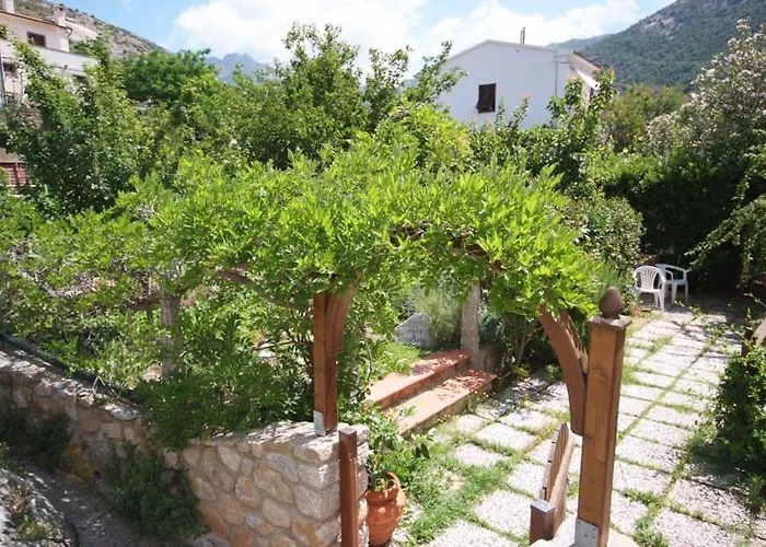 Casa Degli Agrumi Pomonte